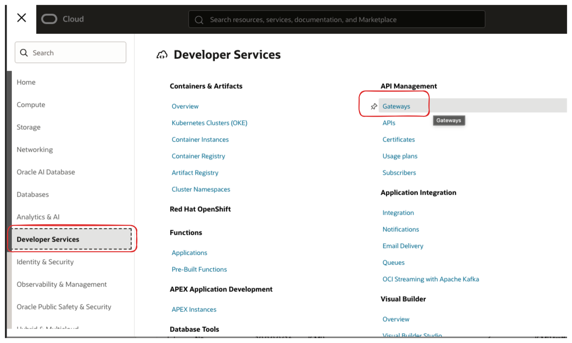 OCI Developer Services showing API Management and Gateways