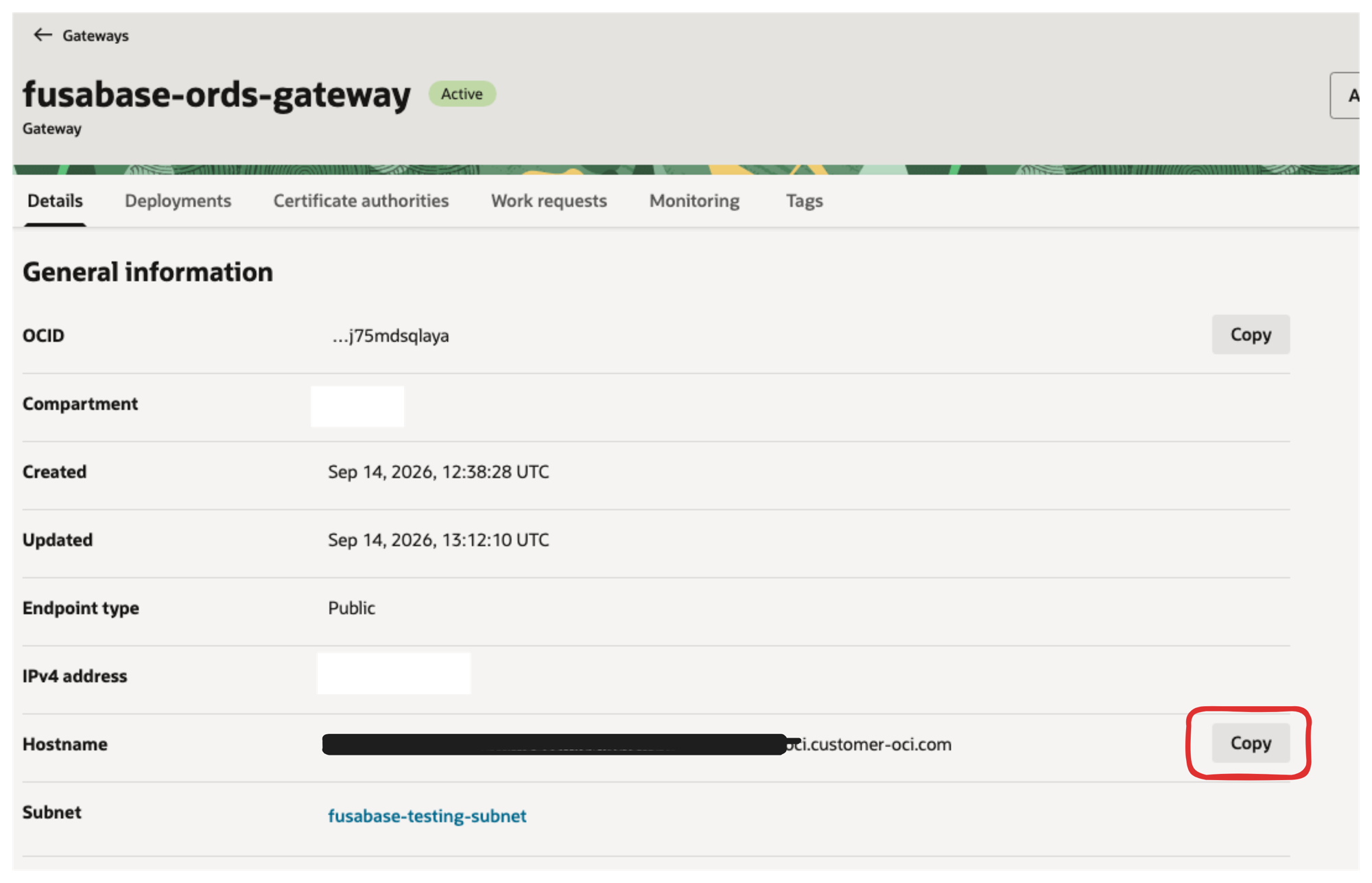 Active gateway details page with the Copy button next to the hostname